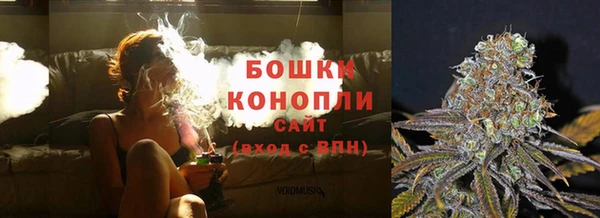 PSILOCYBIN Вязьма