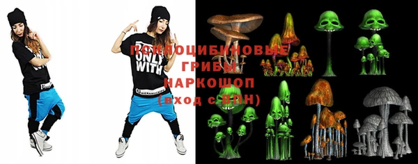 PSILOCYBIN Вязьма