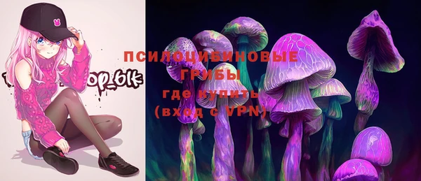 прущая мука Вязники